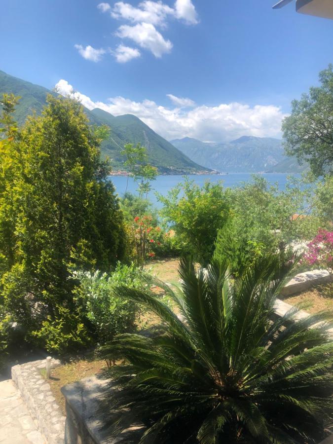 Villa Biskupovic With Stunning Views Kotor Exteriér fotografie